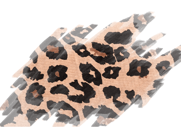 Leopard skin leopard